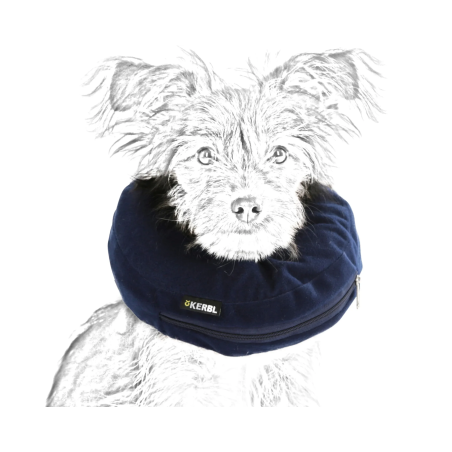 Location de collerette gonflable pour chien