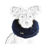 Location de collerette gonflable pour chien