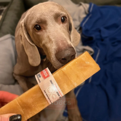 Chhurpi – Chew himalayen original