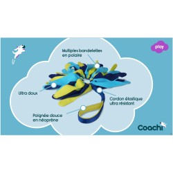 Coachi Tuggi Spider