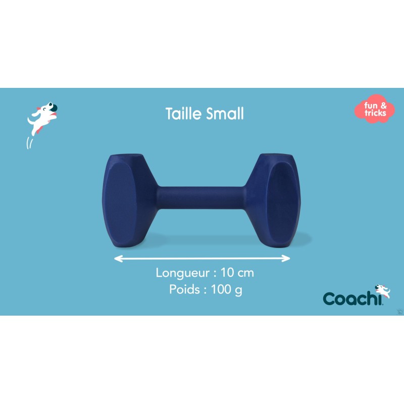 Coachi Training Dumbbell / haltère