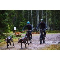 Non-stop Dogwear Bike antenna