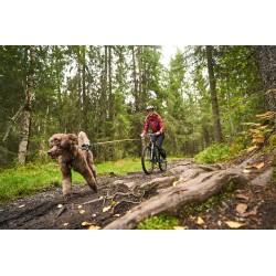 Non-stop Dogwear Bike antenna