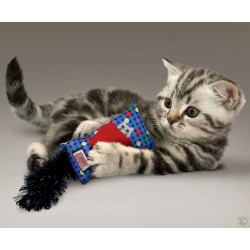 KONG Kickeroo Jouets rechargeables pour chats