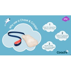 Chase & Crinkle de Coachi