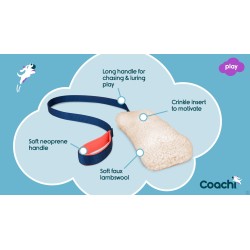 Chase & Crinkle de Coachi