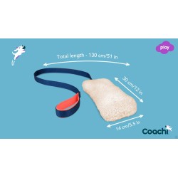 Chase & Crinkle de Coachi