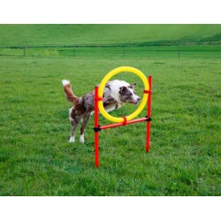 Kit complet Agility KERBL