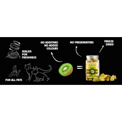 KIWI FRIANDISES LYOPHILISEES AU KIWI 40 G