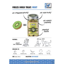 KIWI FRIANDISES LYOPHILISEES AU KIWI 40 G