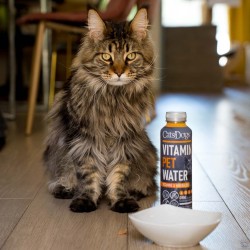 CATS DOGS VITAMIN WATER