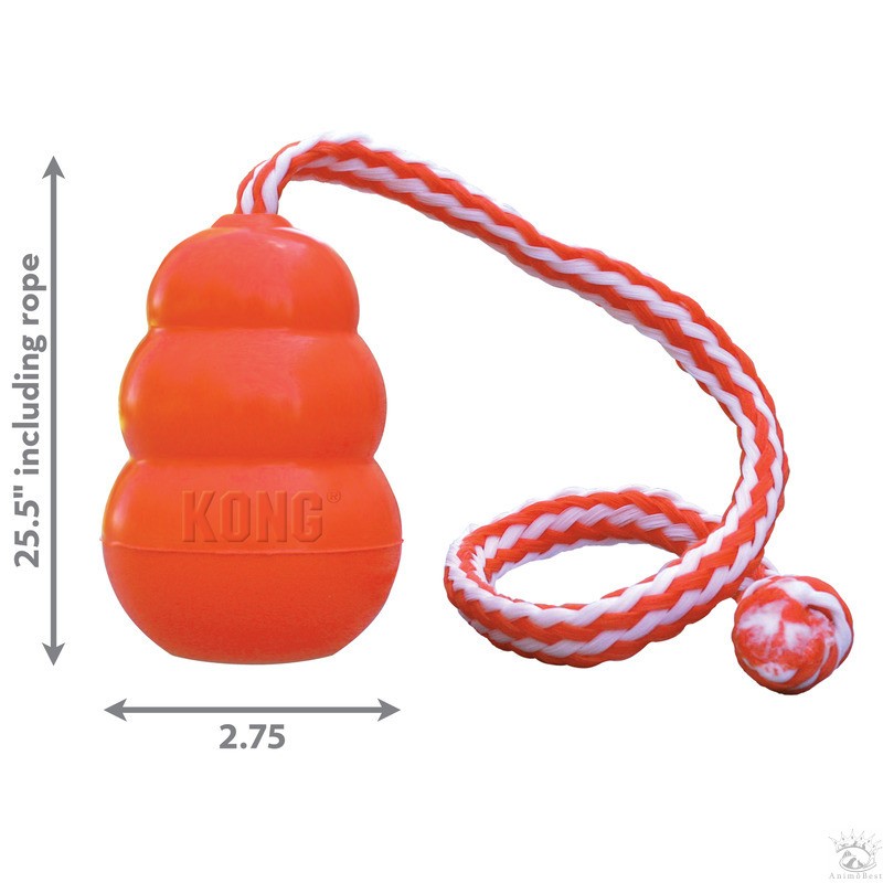 KONG Aqua orange Jouet pour chiens