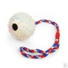 Freezack Jouet pour chiens Rubber Pimpel Ball M