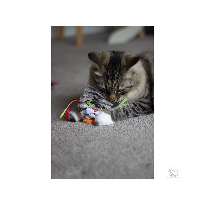 Rosewood Moody Moggy RAINBOW Grab Toy