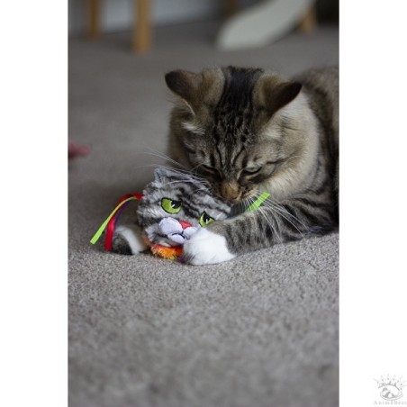 Rosewood Moody Moggy RAINBOW Grab Toy