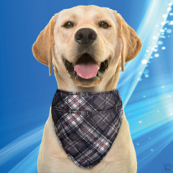 Aqua Coolkeeper bandana rafraîchissant