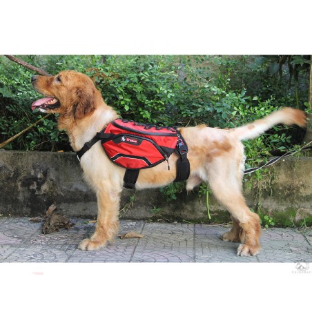 Harnais Backpack Truelove