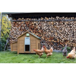 Unité de contrôle automatique pour porte de poulailler Basic