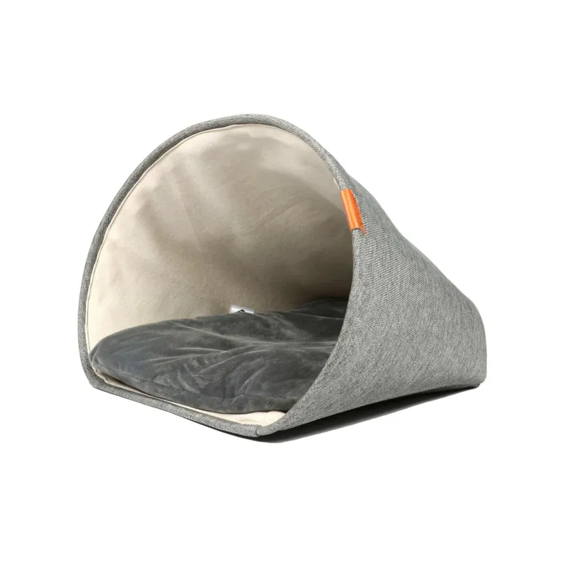 Grotte Scott D&D Home