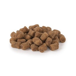 In​-​Fluence Anti​-​Parasit avec poulet