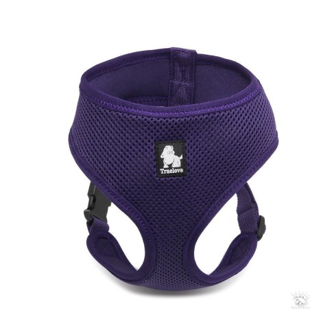 Harnais Truelove Saloon