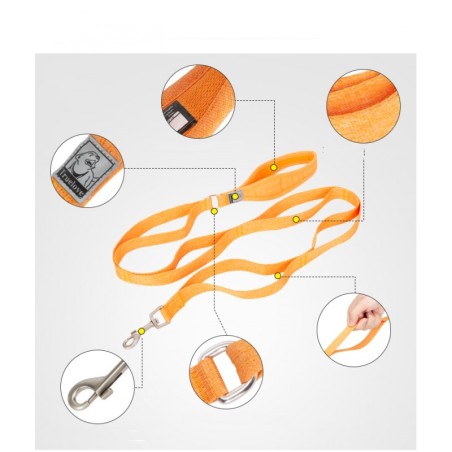 Laisse Truelove en matériaux recyclés 140cm