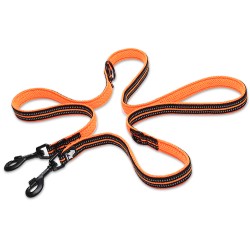 Laisse multifonction 7/1 Truelove