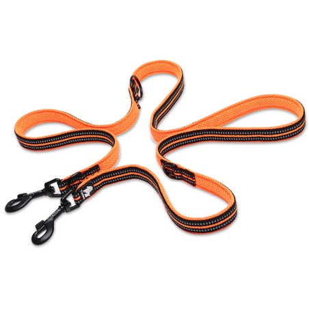 Laisse multifonction 7/1 Truelove