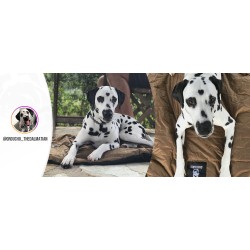 Tapis de couchage - OneTigris