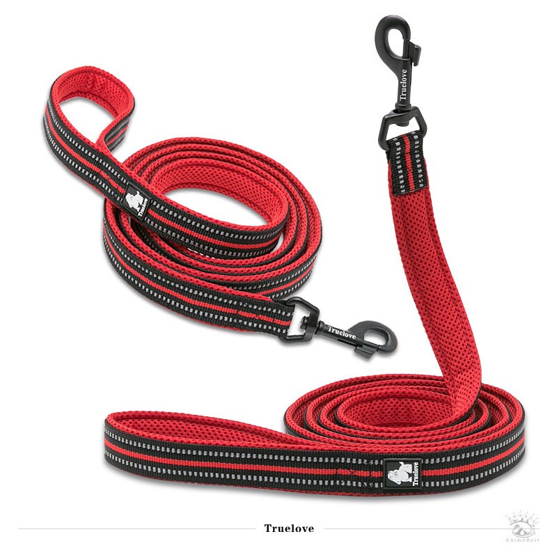 Laisse Truelove réfléchissante 2 m