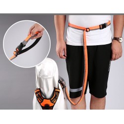 Laisse pour jogging et montagne Truelove