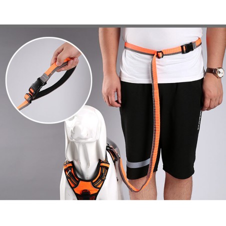 Laisse pour jogging et montagne Truelove