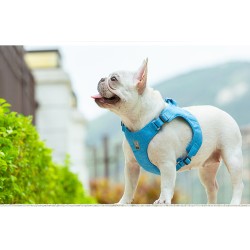 Harnais Truelove en matériaux recyclés