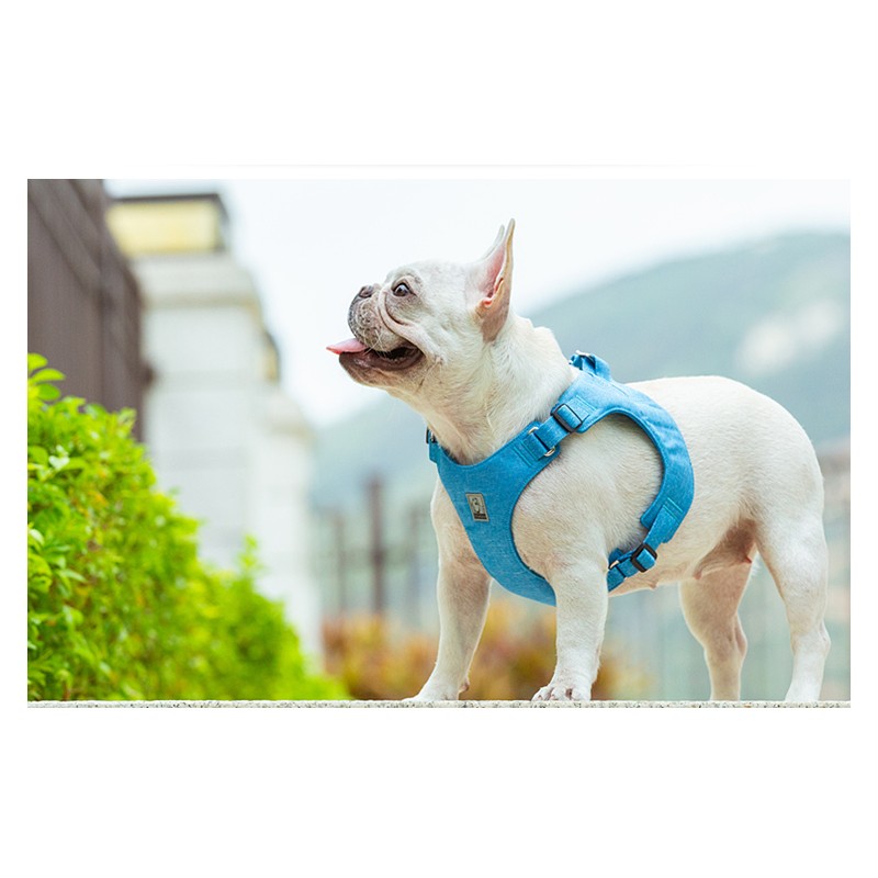 Harnais Truelove en matériaux recyclés