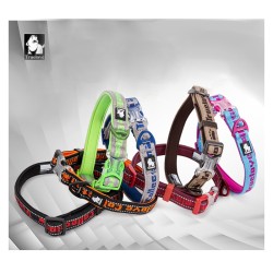 Collier Truelove Flux +