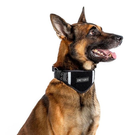 Collier pour chien en nylon rembourré