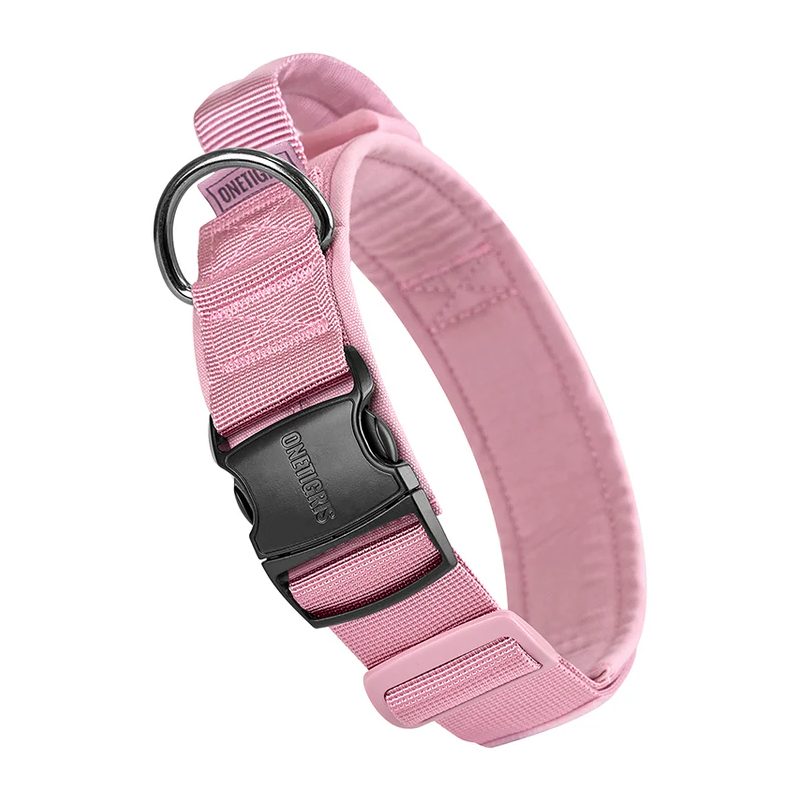 Collier pour chien en nylon et boucle métallique OneTigris