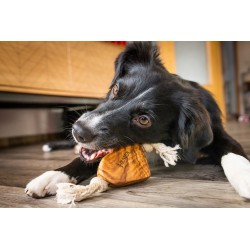 Cœur en bois d'olivier