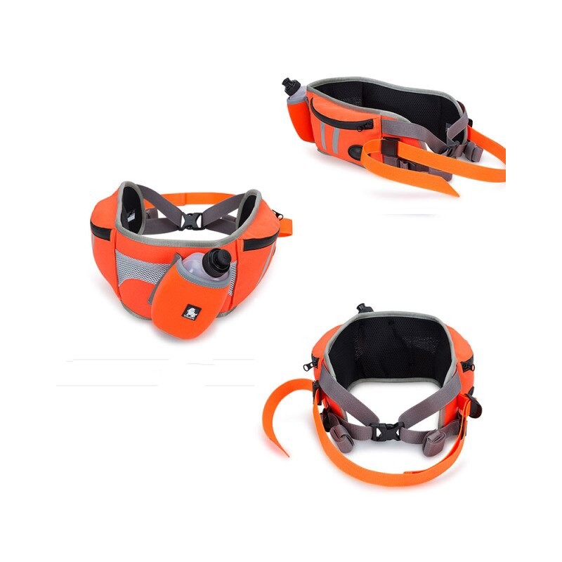 Ceinture de randonnée, jogging