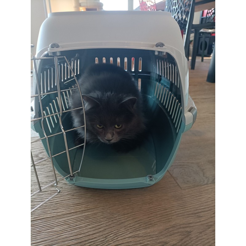 Caisse de transport en plastique recyclé