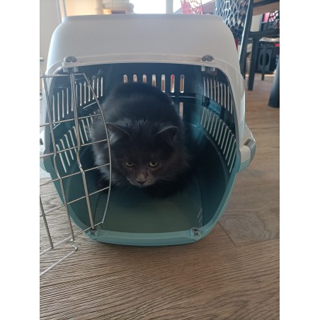 Caisse de transport en plastique recyclé