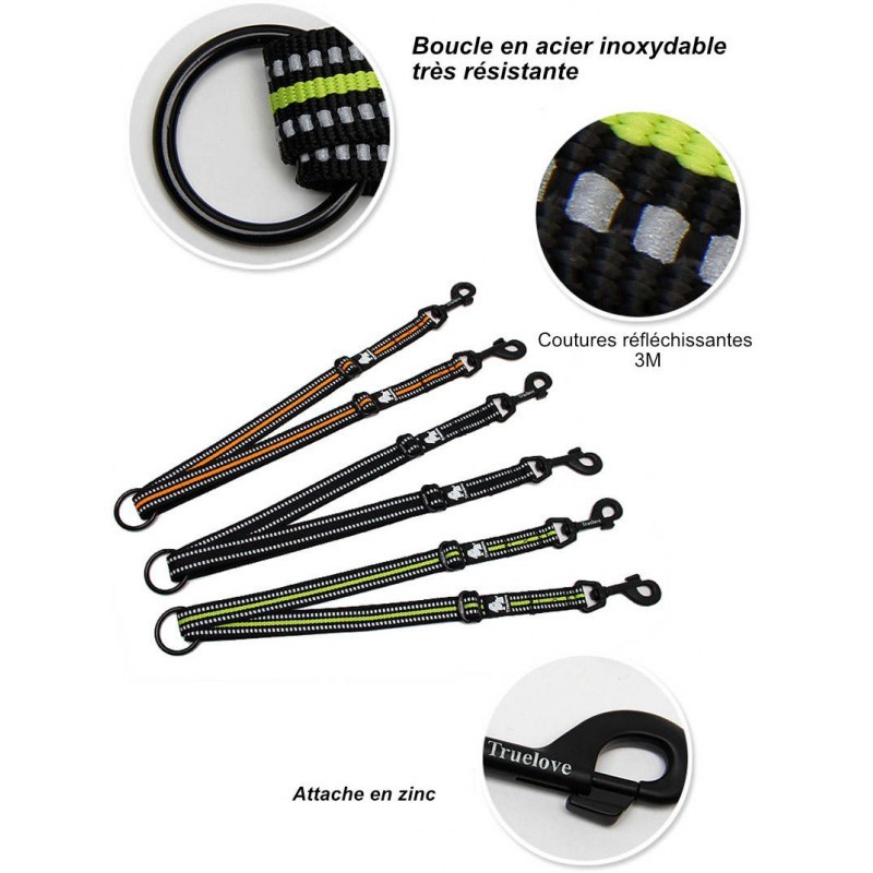 Accouplement de laisse Truelove pour 2 chiens