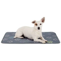 Trixie Matelas Jimmy