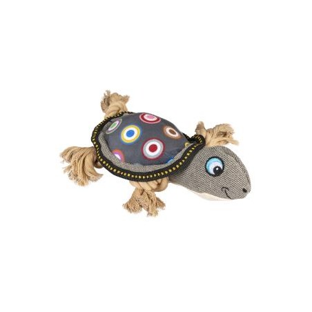 Canvas tortue