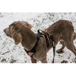 Non-stop Dogwear Strong Leash 3 m