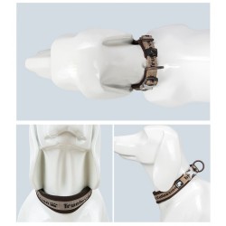 Location de collier pour chiens de moins de 11 mois