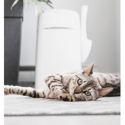 LitterLocker Design et housses