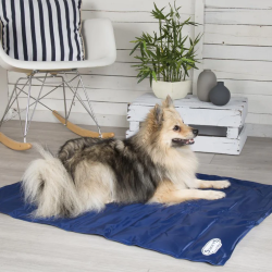 Tapis rafraîchissant ScruffS Cool Mat - Taille 92x69cm