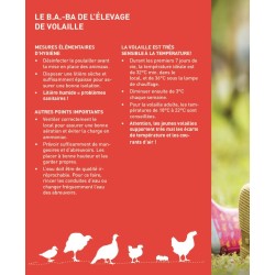 Aliment complet pour poules Golden Compact Miettes tamisées