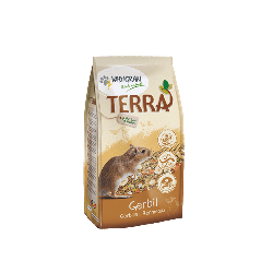 Terra Gerbille